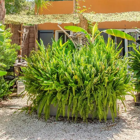 Location Studio - Moorea - Giens / Apartamento *